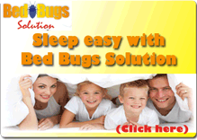 BedBugs