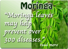 Moringa