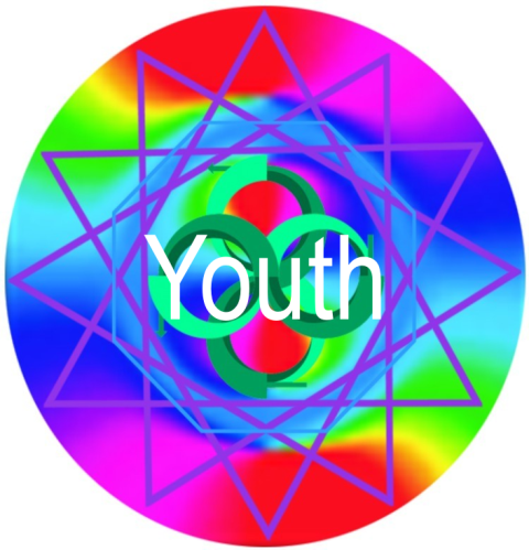Youth Disc Hologram 10 discs pack # 618